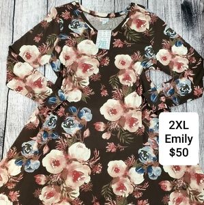 2XL Lularoe Emily dress
